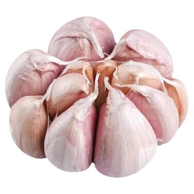 亏本冲量-卖完涨价大蒜头