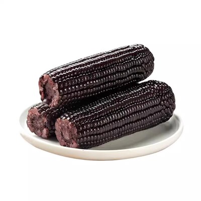 黑糯玉米新鲜现摘真空装包甜糯黏