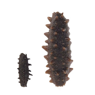 大连野生淡干海参干货500克辽参刺参淡干非即食礼盒送礼高参龄