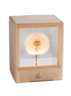 蒲公英玫瑰枫叶摆件树脂小夜灯