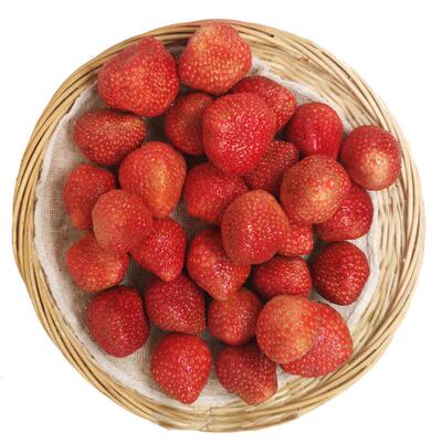 【回购TOP榜】超值冬草莓