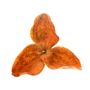 2022年新会陈皮正宗大红皮特产茶枝柑鲜皮干小青皮二红大红陈皮干