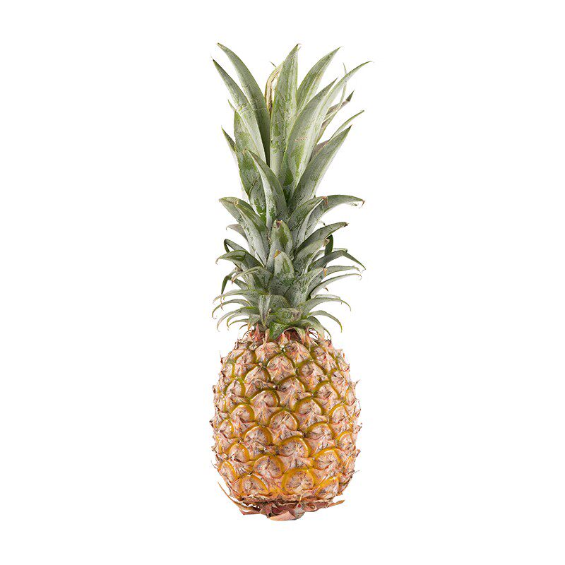 正宗海南树上熟台农17号金钻凤梨当季新鲜水果整箱特大果无眼菠萝