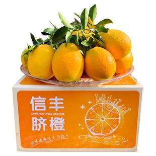 京东包邮新鲜水果正宗赣南信丰脐橙甜橙子赣州特产地直发送礼整箱