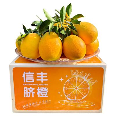 新鲜水果正宗赣南信丰脐橙送礼