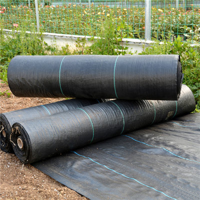 新款农用防草布除草布果树耐用遮盖草切片保湿抗老化地布地丁厂家
