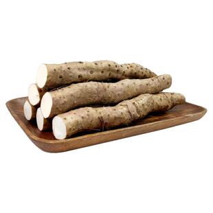 东方甄选小白嘴山药/温县铁棍山药当季新鲜时令蔬菜