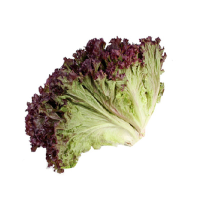 新鲜蔬菜罗莎红沙拉食材顺丰速运