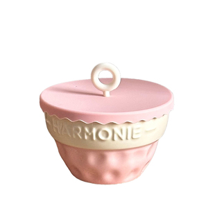 迷你小碗带盖特别好看的陶瓷碗家用米饭碗高颜值个人专用少女心