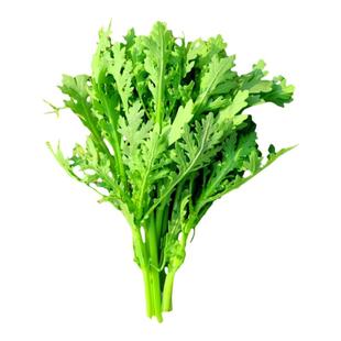 茼蒿菜种子耐寒大叶茼蒿种籽中叶小叶光杆茼蒿皇帝菜蔬菜种孑大全