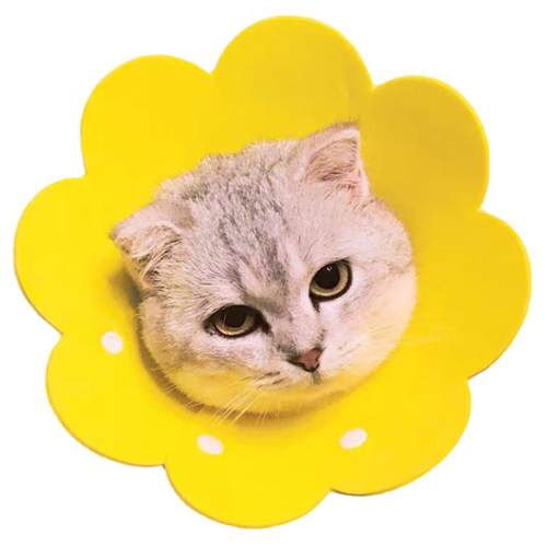 宠物伊丽莎白羞耻圈猫咪防咬狗防舔圈项圈猫头套耻辱围脖绝育套围