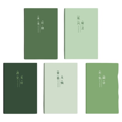 A5/B5ins风文字款笔记本