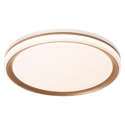 雷士香槟金色简约卧室led吸顶灯