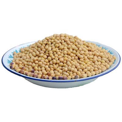 老品种黄豆农家自种专用打豆浆