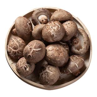 河南西峡新鲜香菇蘑菇菌菇蔬菜火锅涮菜鲜食用菌现采现发煲汤肉厚