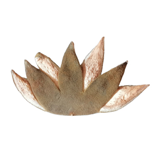 25年化州橘红正毛七爪正宗桔红橘皮橘善道老树圈植化州肺茶包邮