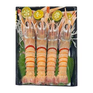 鹰牌鳌虾刺身新西兰进口斯干比海鳌虾scampi刺身特大新鲜鲜活刺身