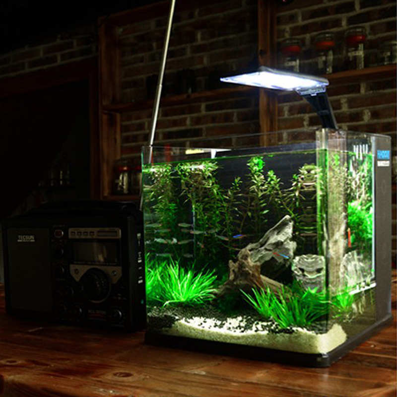 鱼缸客厅小型桌面家用乌龟水陆缸免换水懒人超白玻璃装饰水族箱缸