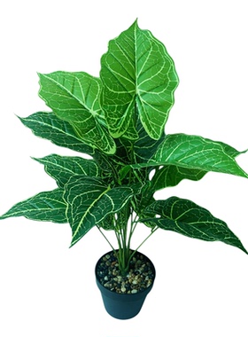 仿真绿植小盆栽假花摆设家居软装办公桌面装饰品海芋叶盆景摆件