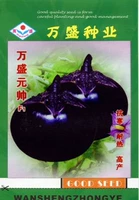 Маршал F1 Семя баклажанов 1000 Грааль