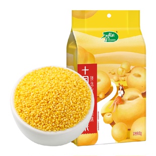 【次日达】十月稻田黄小米1kg小米五谷杂粮粥粗粮小米粥大米伴侣