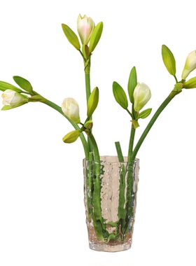仿真花4头朱顶兰插花摆件PU君子兰家居装饰花艺软工程假花花材