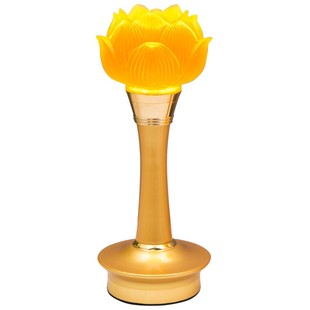LED佛灯水晶莲花佛供灯佛供灯佛堂灯插电长明灯供奉灯佛前灯家用