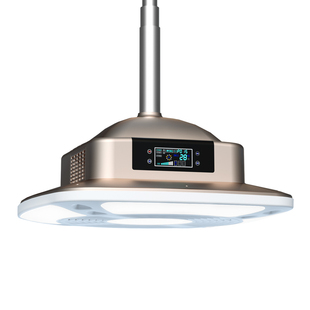 至尊棋牌室空气净化器酒店抽排会所馆房茶楼吸烟灯麻将灯升降吊灯