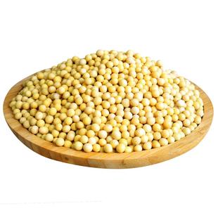 25年永祥龙新粮东北黄豆农家自产黑土地大豆生豆芽打豆浆杂粮豆子