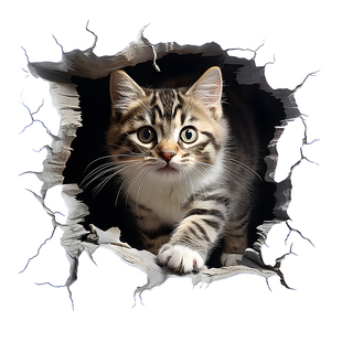 个性宠物猫咪车贴抓痕汽车贴纸车身划痕遮挡贴摩托车3D卡通贴防水