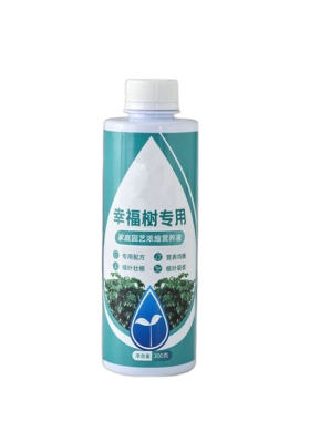 【绿叶状根】幸福树专用营养液