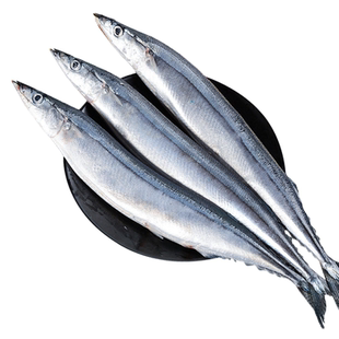 深海秋刀鱼新鲜海捕特大号鲜活冷冻日式料理烧烤海鲜水产商用顺丰