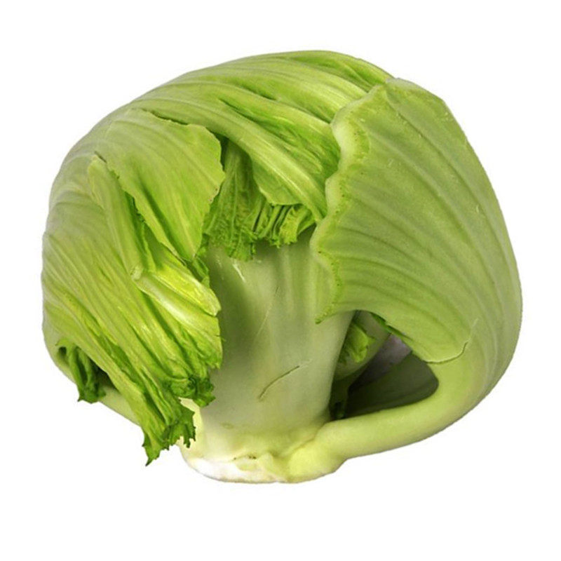 潮州大三叶包心芥菜种子咸菜酸菜
