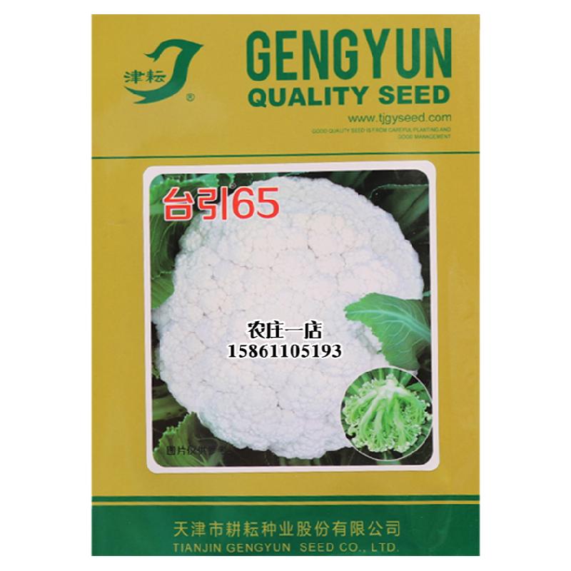 花菜种孑有机65天西蓝花种籽种子