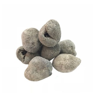 野生球参越南珍珠球参乌圆参淡干印尼海参干货乌元参酒店水发供应