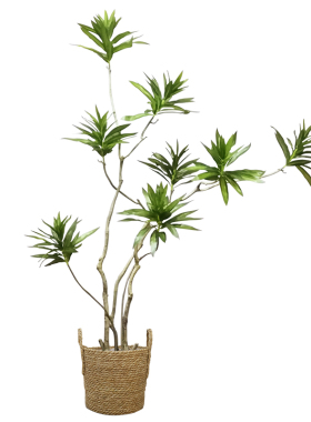 异形百合竹仿真绿植装饰落地盆栽