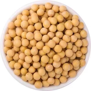 东北黄豆新货优质非转基因5斤农家大豆批发生豆芽黄豆打豆浆专用