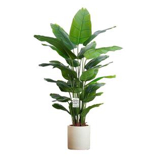 天堂鸟仿真绿植摆设假花客厅高级大型电视柜旁边仿生植物假花盆栽