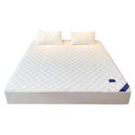 2026纯色床笠套单件夹棉床罩防滑棉防尘纯棉新款席梦思床垫保护罩