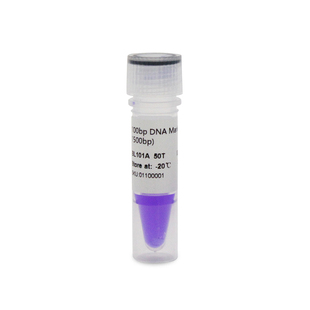 BIOSHARP LIFE SCIENCES 白鲨 BL101A 100bp DNA Marker 分子量标准(100-1500bp) 50T/支