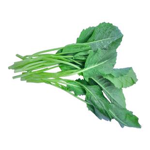 新鲜芥兰苗 蔬菜 清炒 凉拌 生腌 芥蓝苗 火锅配菜时令蔬菜