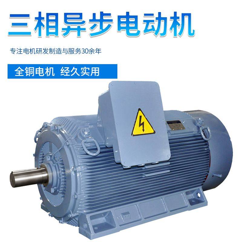 上海大速直销耐冲击Y2系列高压三相异步电动机变频调速电机