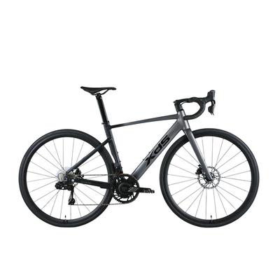 喜德盛25款AD500功率计电变单车