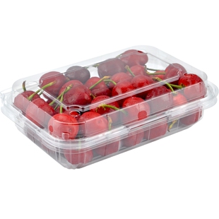 喇叭花500g一次性透明塑料水果草莓车厘子西瓜包装盒1斤装金桔盒