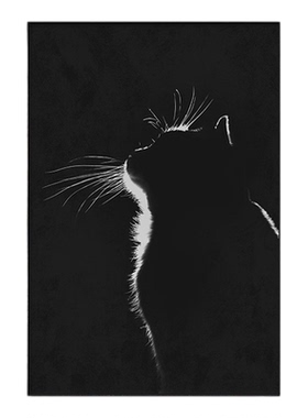现代简约高档猫咪黑白客厅装饰画