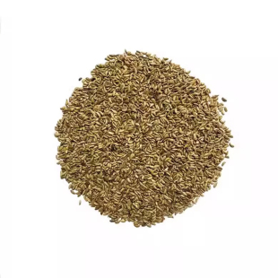 马尼拉四季常青草坪草籽护坡狗牙根庭院地毯草皮绿化黑麦草种子孑