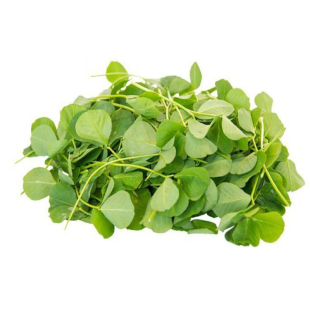 草头种籽金花菜草头种子大叶中叶黄花蔬菜孑上海苜蓿籽种菜籽籽种