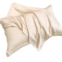 洁丽雅100天丝枕套一对装48X74cm真丝枕套单个家用枕芯内胆套夏季