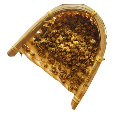 秦岭野生菊花农家中药材