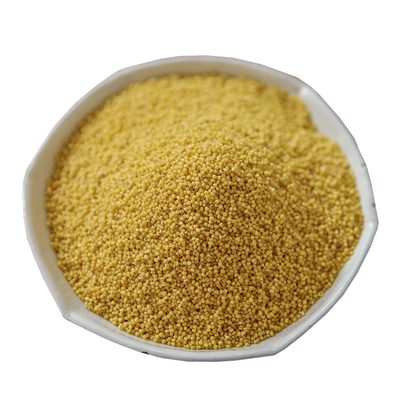 乐作米脂油小米杂粮500克